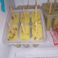 Cooksnap dari Annie untuk resep Es Loli Alpukat
