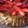 El cooksnap de @tesa.cuina cuando hizo Tarta de queso “La viña” de San Sebastián” (cheesecake) con top de frutos rojos.