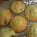 El cooksnap de chicasandoval cuando hizo Cupcakes de arándanos 🫐.