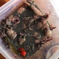 Cooksnap dari wizkawitsqa untuk resep Cumi Hitam Pedas