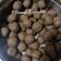 Hema Kamdar's cooksnap of when they made સૂંઠ અને હળદર ની ગોળી. (Shuth and haldar ni goli recipe in gujar.