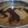 Cooksnap dari seli Litikansi untuk resep Cuko Pempek Palembang Asli