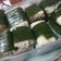 Cooksnap dari Melissa Madjid untuk resep Lemper Ayam
