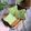 Cooksnap dari Mama fathan untuk resep Chiffon Cake Pandan
