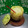 El cooksnap de Nano cuando hizo Melón con ron.