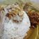 Cooksnap dari silmi anggari untuk resep Nasi Ayam Hainan (HALAL) (Rice Cooker)