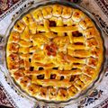 کوک اسنپ ماهان بعد از امتحان کردن پای مرغ و بادمجان.