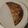 El cooksnap de Elena Olmos Arranz cuando hizo Empanadillas con tortitas de trigo integrales.