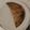 El cooksnap de Elena Olmos Arranz cuando hizo Empanadillas con tortitas de trigo integrales.