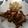 El cooksnap de Delany RH cuando hizo Bistec con papas y nopales.