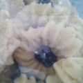 Cooksnap dari Puji Bunda Rangga untuk resep Kue Semprit Susu Topping Keju