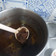 Cooksnap dari Zakia Fitriani untuk resep Rawon Daging Sapi