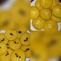 Cooksnap dari Indri Jovita untuk resep Kue Lumpur Labu Kuning
