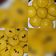 Cooksnap dari Indri Jovita untuk resep Kue Lumpur Labu Kuning