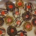 کوک اسنپ zahra yakhkeshi بعد از امتحان کردن شیرینی مارمالادی_ شیرینی مشهدی_ شیرینی آلمانی.