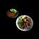 Cooksnap dari CHA untuk resep Ayam bakakak bakar