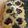 Michelle Garside's cooksnap of when they made Mixed Berry filo tart.