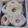 El cooksnap de Jaqueline cuando hizo Rosquitas o Donas.