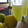 El cooksnap de Sol cuando hizo Limonada de mi amiga Flor 🌺 🍋.