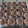 Cooksnap dari keizha untuk resep Silky Pudding Milo