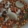 Cooksnap dari Hamasah Fullmoon untuk resep Soto Bandung (iga sapi + lobak)