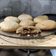 El cooksnap de Cam Locaso cuando hizo Galletitas de vainilla simples y rellenas.