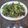 El cooksnap de Melanio Esteban cuando hizo Ensalada de rúcula, pera y queso azul (Rev.).