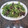 El cooksnap de Melanio Esteban cuando hizo Ensalada de rúcula, pera y queso azul (Rev.).