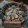 El cooksnap de · 𝘼𝙡𝙡𝙞𝙨𝙤𝙣 · cuando hizo Galletas con chispas de chocolate !.