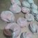 Cooksnap dari irna untuk resep Meringue Cookies