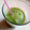 El cooksnap de Sano Mariano Recetas cuando hizo Batido Verde Saludable con Sabor a Gominola de Anís.