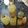 El cooksnap de brunosky32 cuando hizo Limoncello 🍋.