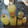 El cooksnap de brunosky32 cuando hizo Limoncello 🍋.