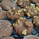 El cooksnap de Realzowman cuando hizo Galletas tipo brownie.