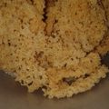 Cooksnap dari puput anggraini untuk resep Kremesan Ayam versi Kepepet