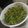 Aicha(stardrops_cakes)'s cooksnap of when they made Crease salad.