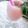 El cooksnap de Marcela Galeas Paredes cuando hizo Batido de fresas.