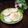 Cooksnap dari Liana Setiowati untuk resep Cireng ayam suir