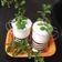 Harsha Gohil's cooksnap of when they made બટર મિલ્ક (છાશ).
