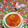 کوک اسنپ ناهید بانو👩🏻‍🍳 بعد از امتحان کردن سوپ مرغ و رشته.