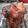 odonalny's cooksnap of when they made Easy Pork butt roast.