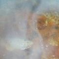 El cooksnap de Milagros Agüero cuando hizo Guiso exprés de arroz y lentejas.