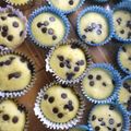 El cooksnap de Caro Sanchez cuando hizo Cupcakes o magdalenas de limón con chocolate, suuuuper rápidas y ricas.