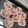 珺 的 超濃純巧克力磅蛋糕 cooksnap