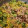 Cooksnap dari Faith Margareth untuk resep Cah Brokoli Daging Jagung Manis