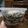 Cooksnap dari Vira Meilia Sari untuk resep Oreo Cheese Cake In Jar