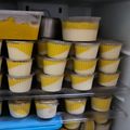 Cooksnap dari Gertrude Agnès untuk resep Puding lapis mangga susu