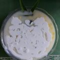 Cooksnap dari Anggita Alifvia untuk resep Bubur jagung manis saus santan