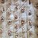 Cooksnap de Happiness sur la recette Baklawa Algerienne