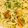 Cooksnap của Rose Truong khi họ làm theo món Mỳ ý tôm sốt kem - #Creamyshrimppasta